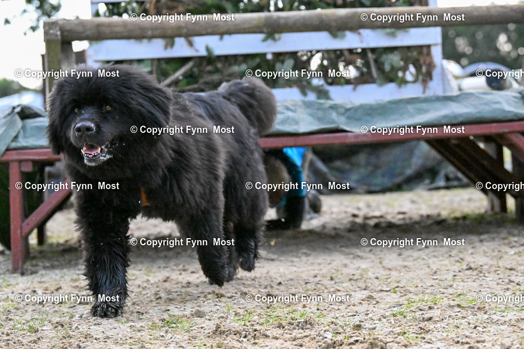 DSC_4866 | Hallo und herzlich Willkommen auf meiner Shop-Seite Fynn Most.

Ich wünsche Dir viel Spaß beim stöbern durch die Bilder, wenn Du Fragen hast oder Bilder vermisst, kannst du mir gerne eine Nachricht schreiben. - Realisiert mit Pictrs.com