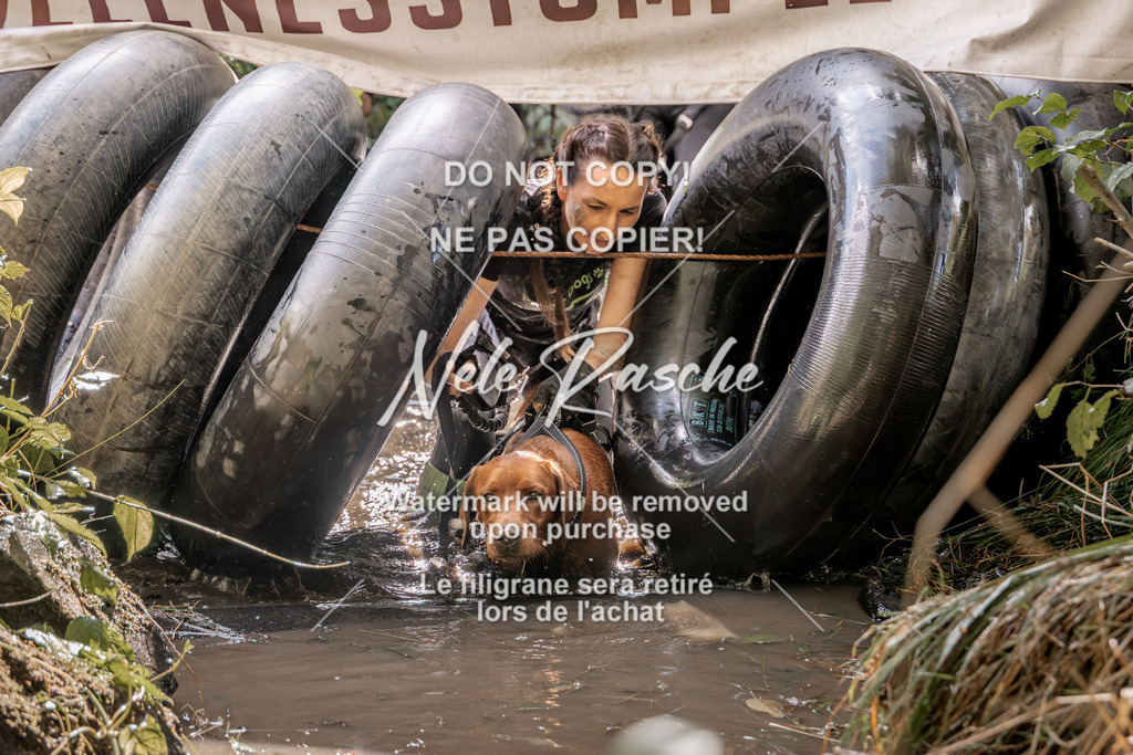 nelerasche_Hunsrück2026_Sa1400-1500_382 | nelerasche