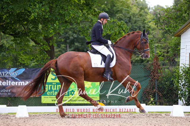 DKP40905 | Turnierfotos kaufen im Webshop von Daniel Kuhl Photography – entdecke professionelle Reitsportfotos aus Turnieren & Events. Hochwertige Turnierbilder online bestellen & sichern. Jetzt Fotos von Reitsportturnieren kaufen!