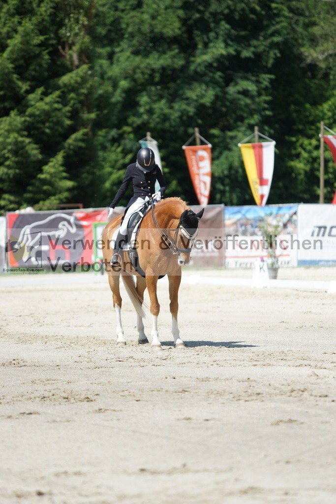 DSC03122 | equestrian-live-com