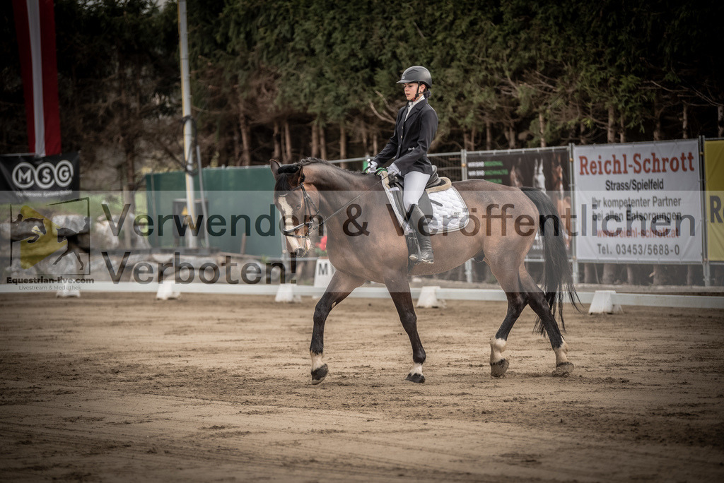 DSC_8312 | equestrian-live-com
