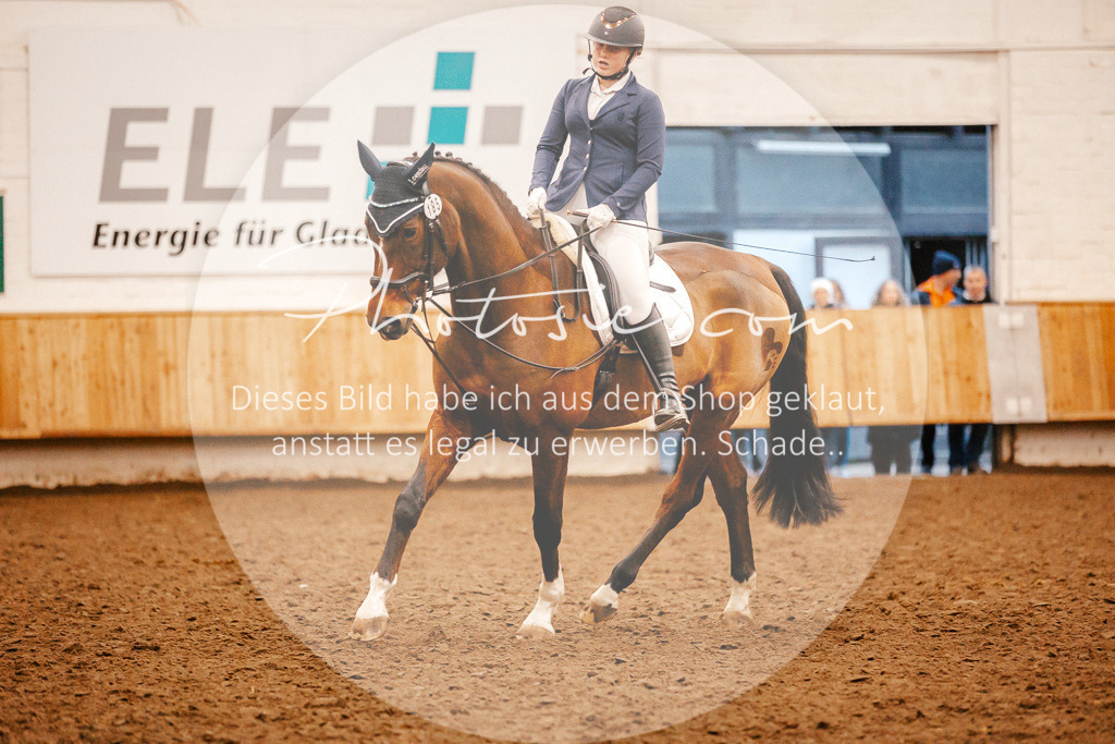 3I6A3648 | Stimmungsvolle Portraits und Reitsportfotografie im Ruhrgebiet und im Münsterland.

Pferdefotografie, Hundefotografie, Tierfotografie, Reportagen, Portraits von Tier und Mensch, Turnierfotografie in Bochum, Recklinghausen, Marl, Haltern am See, Dülmen.. - Realisiert mit Pictrs.com