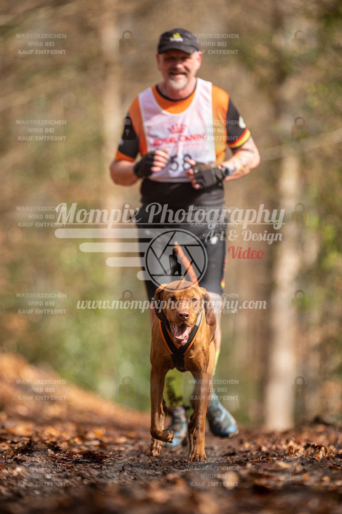 SPA_2023_DIM_CCL-179 | PayLife