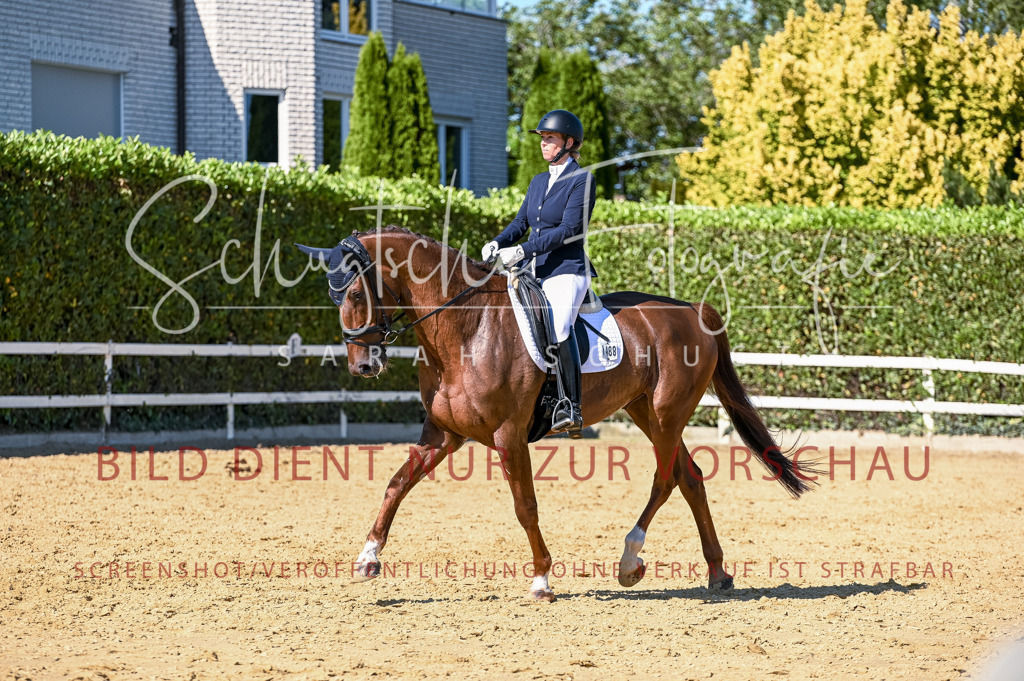 Schugtsche-Aluta25-50.Dressurpferdeprf.L-216 | Schugtsche Fotografie - Realisiert mit Pictrs.com
