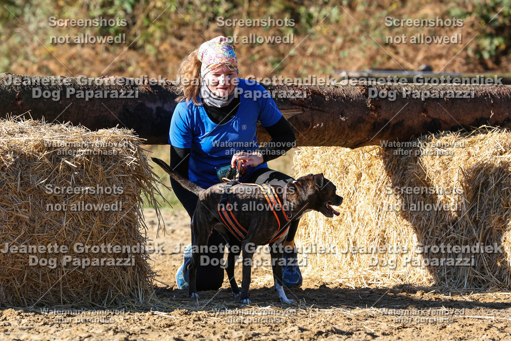 Dog Paparazzi - Strongdog 10-25-1921 | Dog Paparazzi Jeanette Grottendiek Fotografie & Videografie - Realisiert mit Pictrs.com