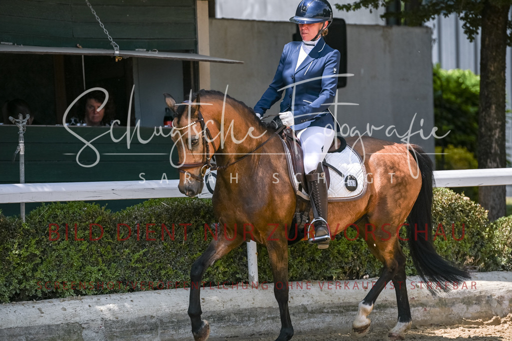 Schugtsche-Aluta25-53.Amat.Dressurprf.A2-403 | Schugtsche Fotografie - Realisiert mit Pictrs.com