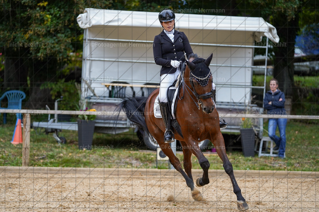 20231007-SN_00997 | Professionelle Turnier- und Reitsportfotografie - mit dem Finger am Auslöser. Pferdebilder aus dem Reitsport von den Turnierfotografen  Bayern , Pferdefotograf Bayern, Pferdeshooting Turnierbilder, Hochzeitsfotograf, Eventfotograf, Hochzeitsbilder
