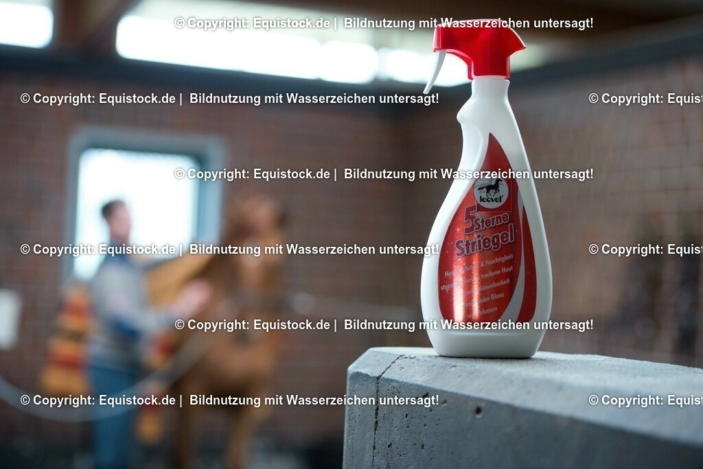 20160226_Leovet_0001 | equistock