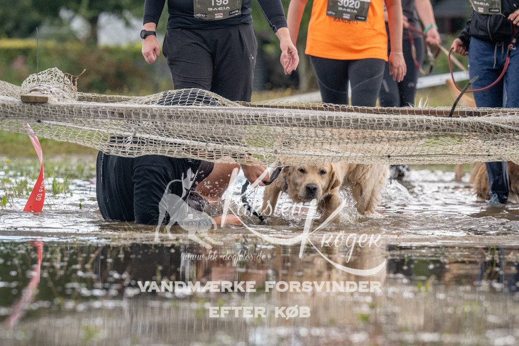 1441_ZZ90711 | kk-dogfotos