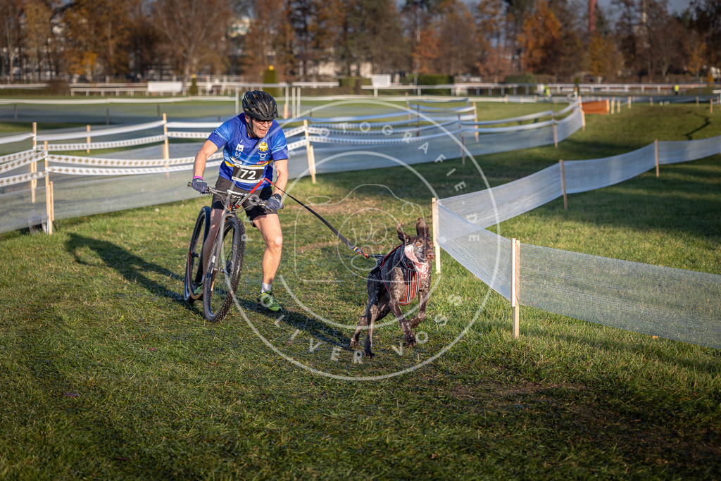 CaniXpix_0L8A3359 | Hundefotografie, Tierfotograf, Pfotenfotografie, Fotoshooting Hund, Hunde Portrait, Hundesport, Hundeportraits, Heideshooting, Hunde, Sportfotograf, Hundefotograf, Turnierhundsport, THS,  - Realisiert mit Pictrs.com