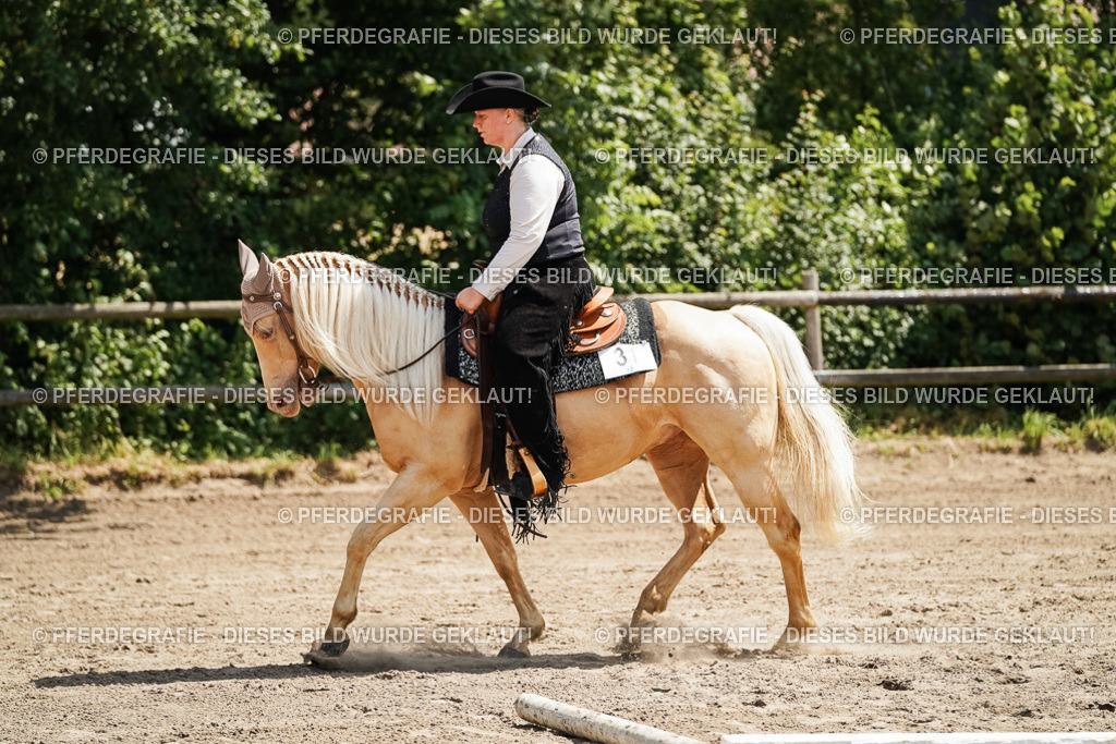 DSC07012 | Pferdegrafie