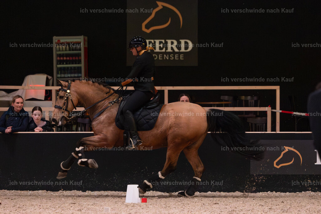 JoseraCup-230 | working equitationturnier fotograf videograf stoibphotography marixx film working equitation deutschland reitsport turnierfotografie eventfotografie equestrian events