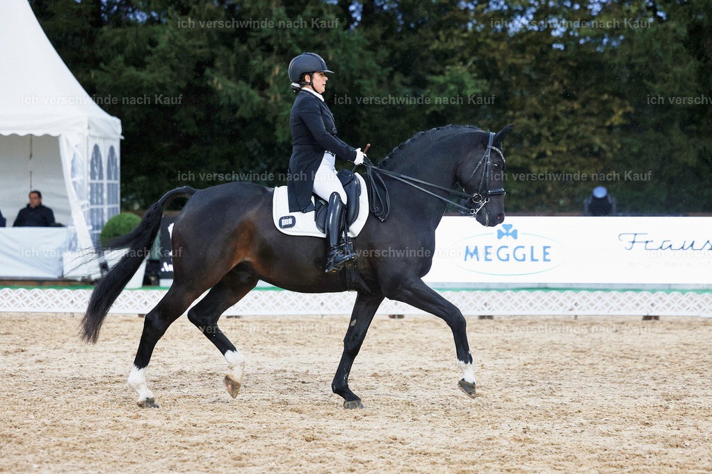 8_2-183-DRESSUR S_  -StoibPH-4552 | working equitationturnier fotograf videograf stoibphotography marixx film working equitation deutschland reitsport turnierfotografie eventfotografie equestrian events