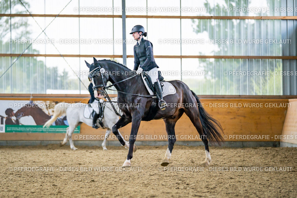 DSC04207 | Pferdegrafie