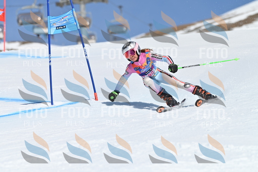 BGV_9296 | holidayphoto