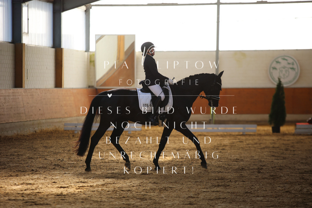 IMGT6208 | pl-fotografie