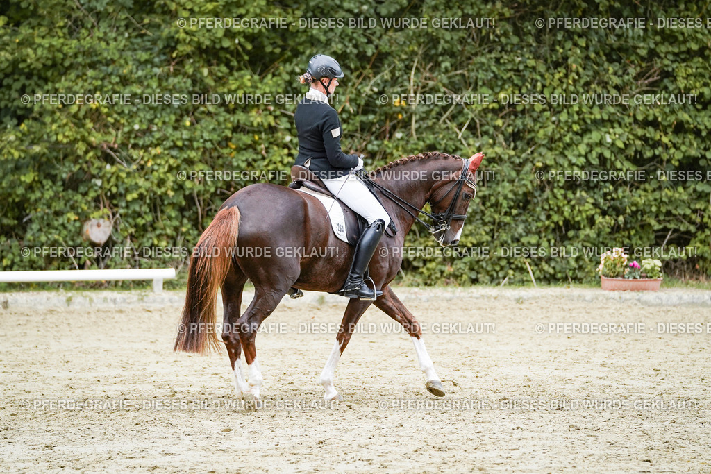 DSC06803 | Pferdegrafie