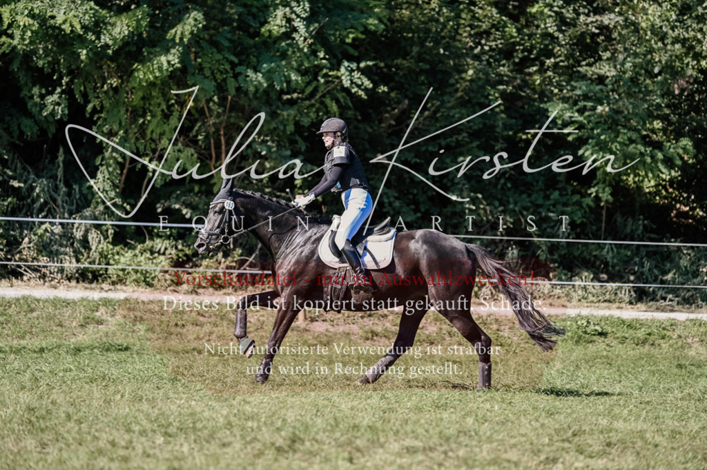 DSC_3524 | Pferde- und Turnierfotografie in Westsachsen. Pferdeportraits, Auftragszeichnungen und intuitive Kunst.