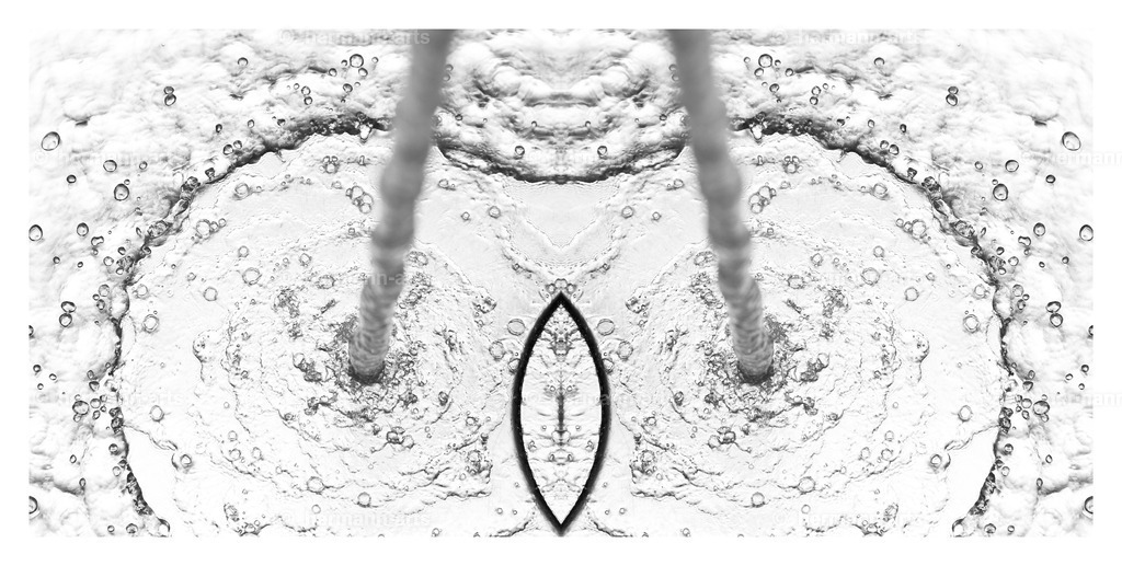 Hermann-Arts_Spiegelbilder_065 | Photo Foto Kunst Art schwarzweiss Bilder Rheine Münster Berlin Blumen 