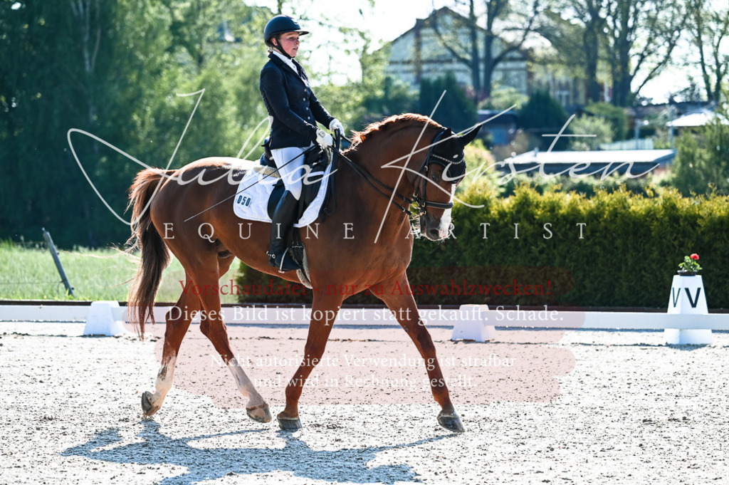 20230513_JK-Röhrsdorf-10-0011 | Pferde- und Turnierfotografie in Westsachsen. Pferdeportraits, Auftragszeichnungen und intuitive Kunst.