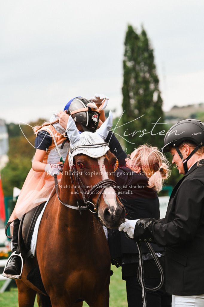 DSC_7483 | Pferde- und Turnierfotografie in Westsachsen. Pferdeportraits, Auftragszeichnungen und intuitive Kunst.