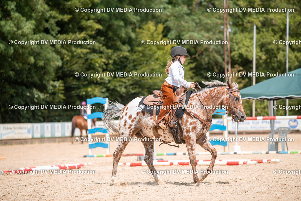 ZS2_8203 | dv-media-shop - Realisiert mit Pictrs.com