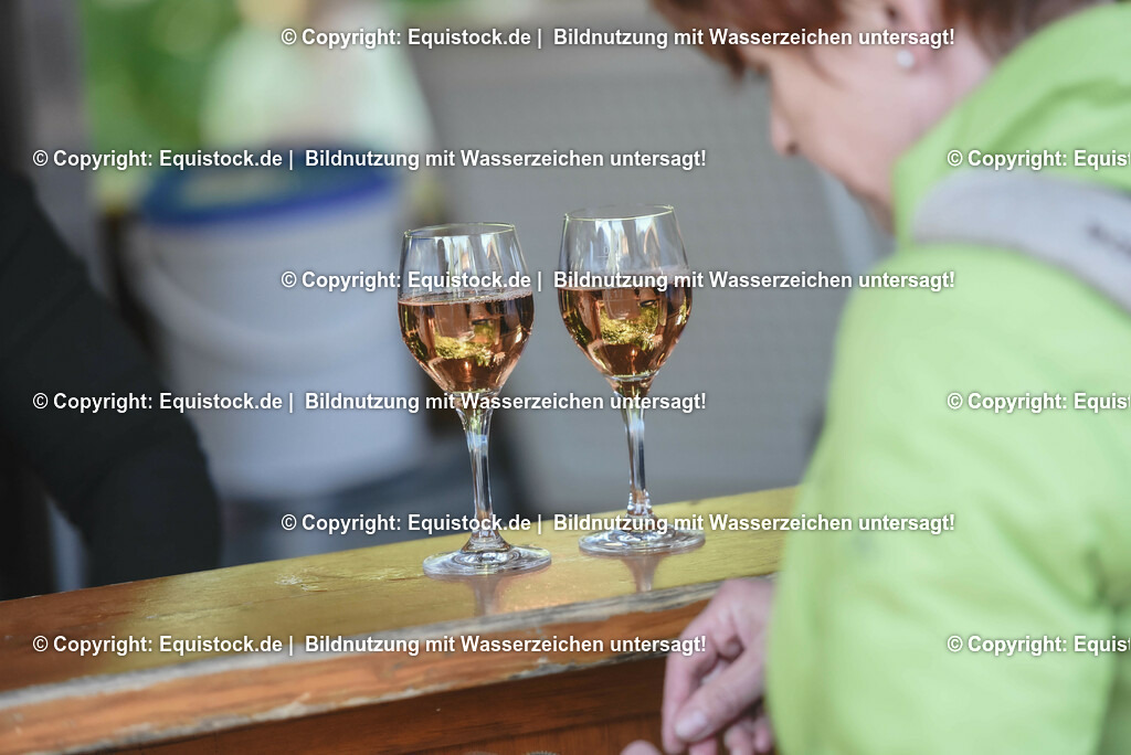 20230526_Impressionen_0064 | equistock