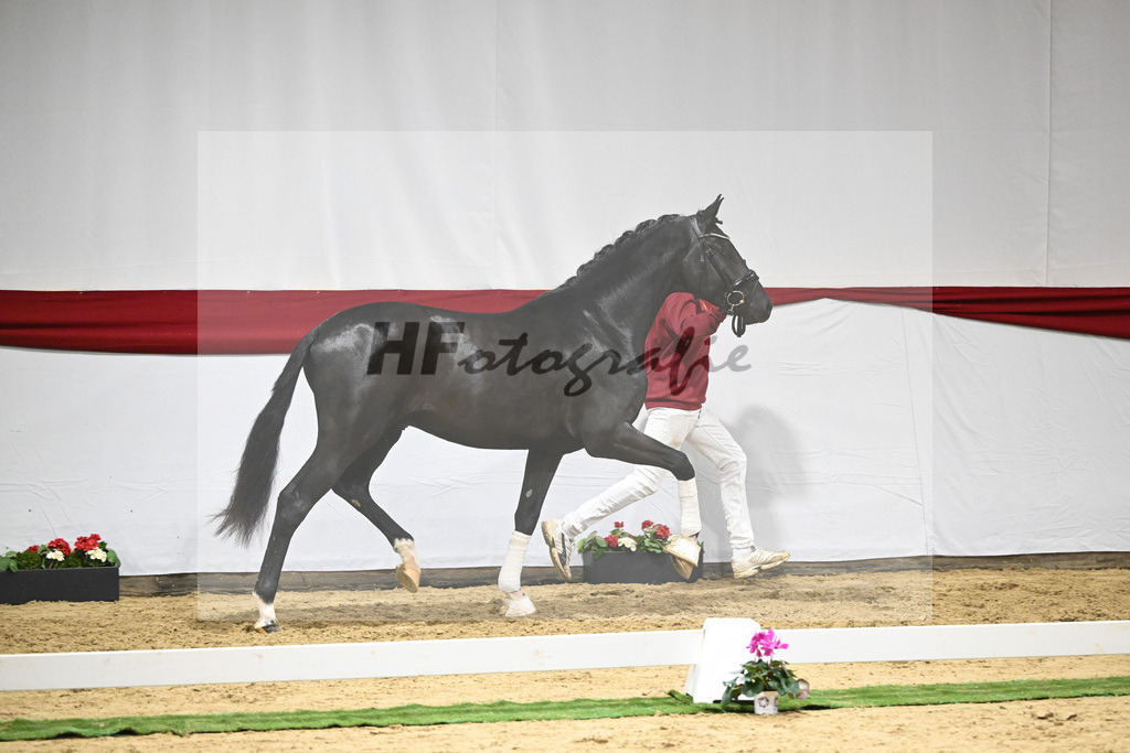 Kat-Nr. 69 v. Secret_Reich_63222046 | hf-fotografie - Realizzato con Pictrs.com