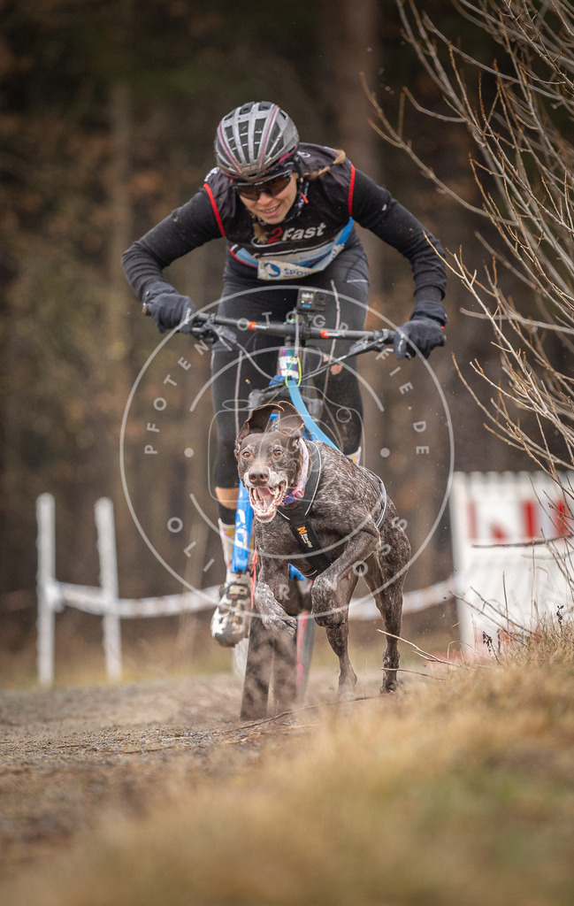 DV3A3169 | Hundefotografie, Tierfotograf, Pfotenfotografie, Fotoshooting Hund, Hunde Portrait, Hundesport, Hundeportraits, Heideshooting, Hunde, Sportfotograf, Hundefotograf, Turnierhundsport, THS,  - Realisiert mit Pictrs.com