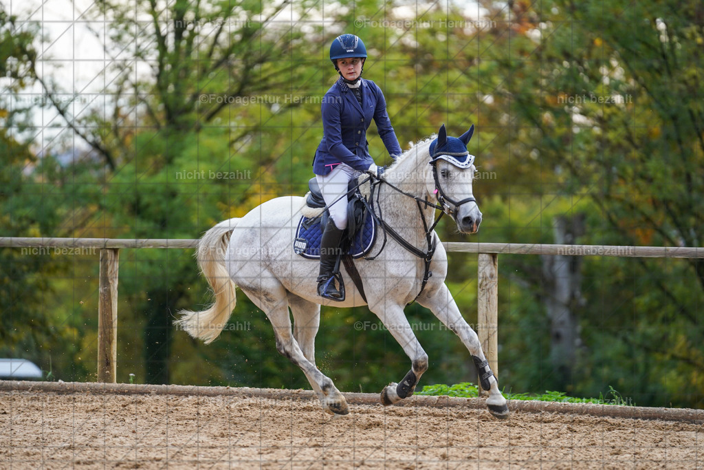 20221009-FAH08320 | Diessen am Ammersee, 2022, Dressur- und Springturnier, Reitsportbilder, Turnierfotografen Bayern, Pferdefotografen, Fotoagentur Herrmann, Turnierbilder
