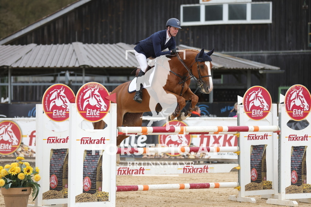 0P6A3541 | Willkommen bei Brunnmayr - Design & Fotografie – Ihrem Spezialisten für Reitturniere und Pferdeveranstaltungen in Oberösterreich, Salzburg und Bayern! Seit über 17 Jahren sind wir leidenschaftlich dabei.