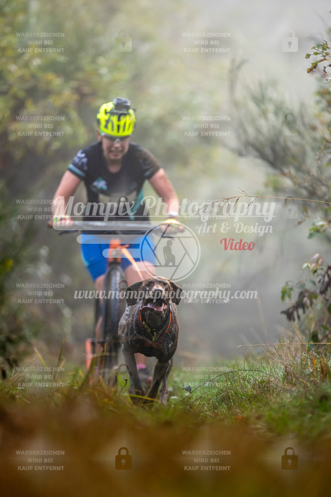 MompixPhotography_20TSB_E4_DS1-10 | PayLife