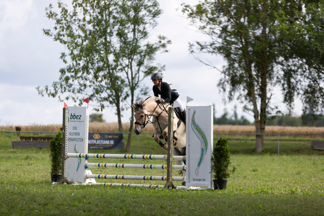 IMG_8917 | normansfotografie - Realisiert mit Pictrs.com