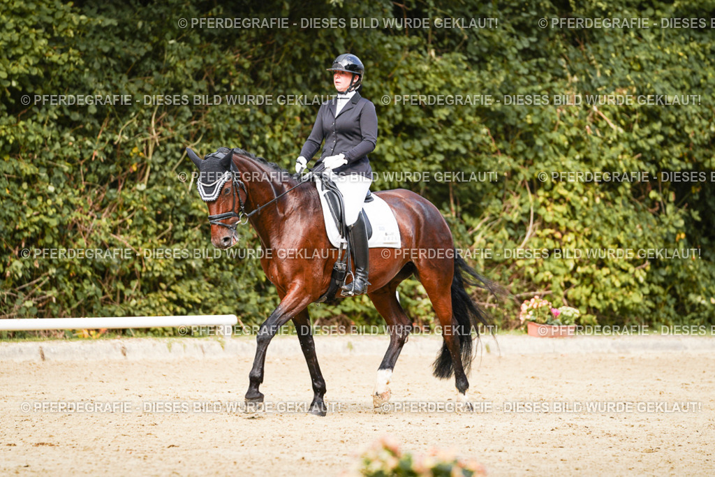 DSC03386 | Pferdegrafie