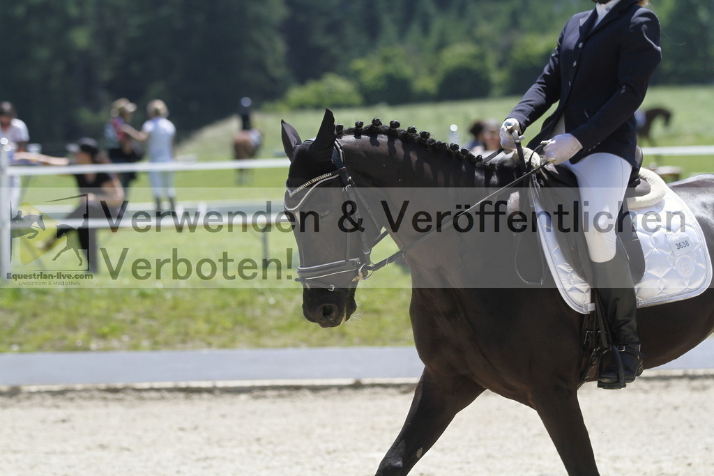 _MG_6679 | equestrian-live-com