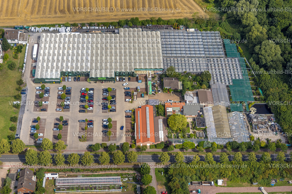 Hamm250700428Heessen | Luftbild, Gartencenter Bintig am Sachsenring mit Parkplatz, Stadtbezirk Heessen, Hamm, Ruhrgebiet, Nordrhein-Westfalen, Deutschland