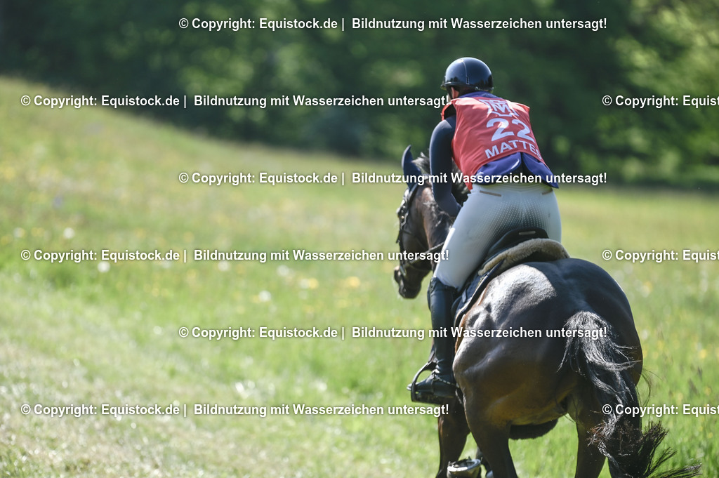 20250517_CCI2_Gelände_0624 | Foto: Thomas Hartig