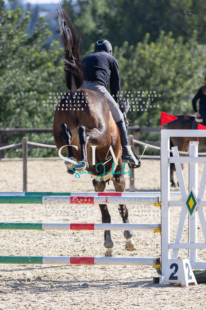 IMG_5440 | s-jay-photography - Realisiert mit Pictrs.com