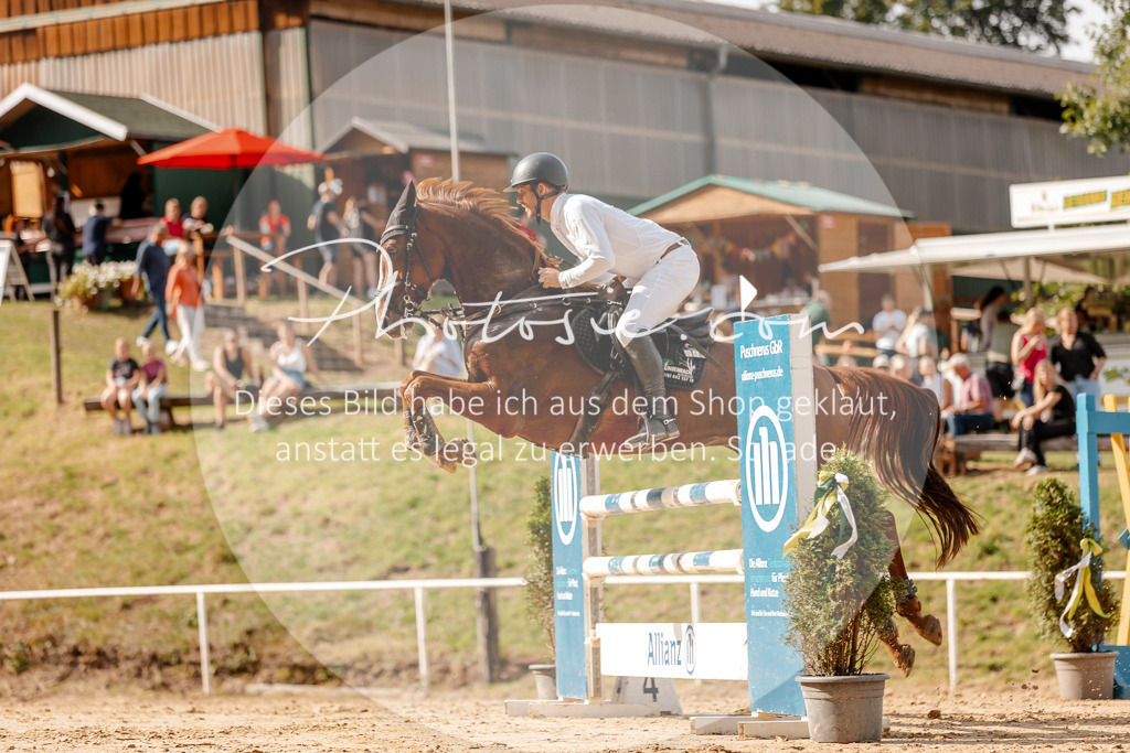 3I6A4621 | Stimmungsvolle Portraits und Reitsportfotografie im Ruhrgebiet und im Münsterland.

Pferdefotografie, Hundefotografie, Tierfotografie, Reportagen, Portraits von Tier und Mensch, Turnierfotografie in Bochum, Recklinghausen, Marl, Haltern am See, Dülmen.. - Realisiert mit Pictrs.com