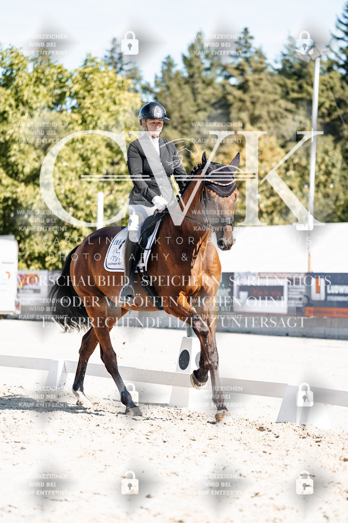 CK908344 | Turnierfotografie Pferdefotografie Trier Rheinland-Pfalz Pferdesport Reitsport Tierfotografie Sportfotografie Pferdevideo Pferdevideografie Equestrianvideography equestrianphotography  - Realisiert mit Pictrs.com