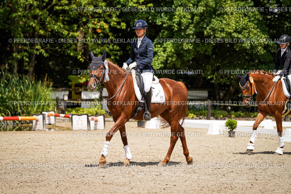 DSC01911 | Pferdegrafie