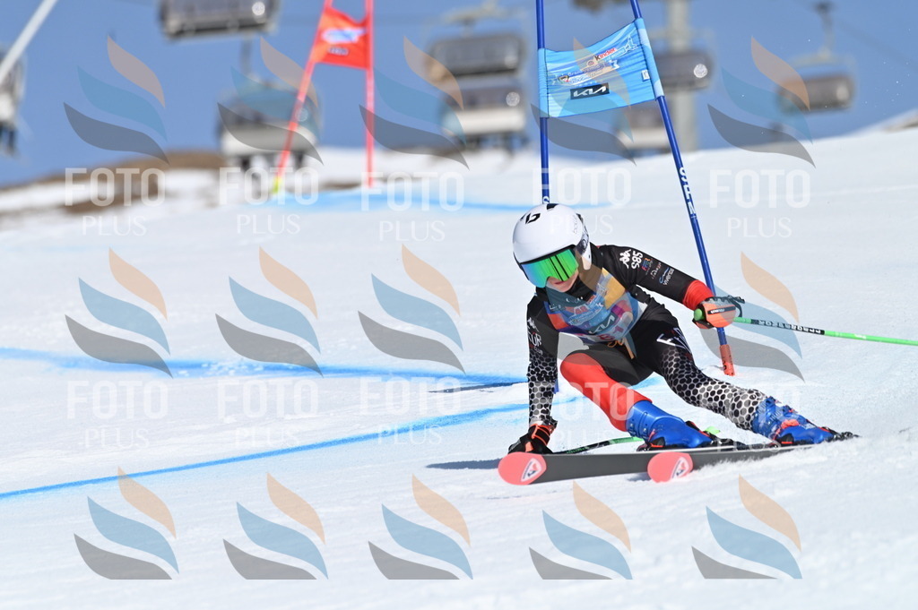 BGV_9085 | holidayphoto