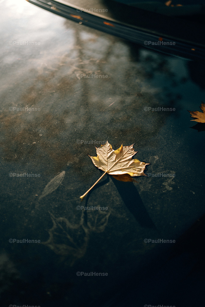 20221020_PaulHense_S0012_DSC00026 | paulhense - Realisiert mit Pictrs.com