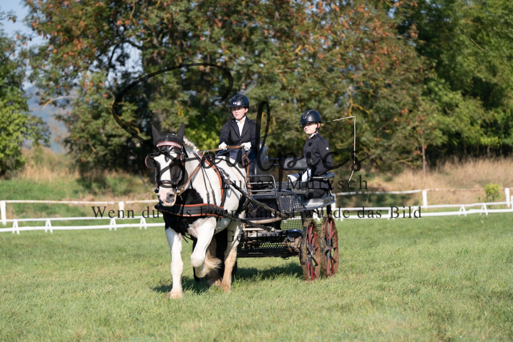 A7V04145 | Pferdefotograf