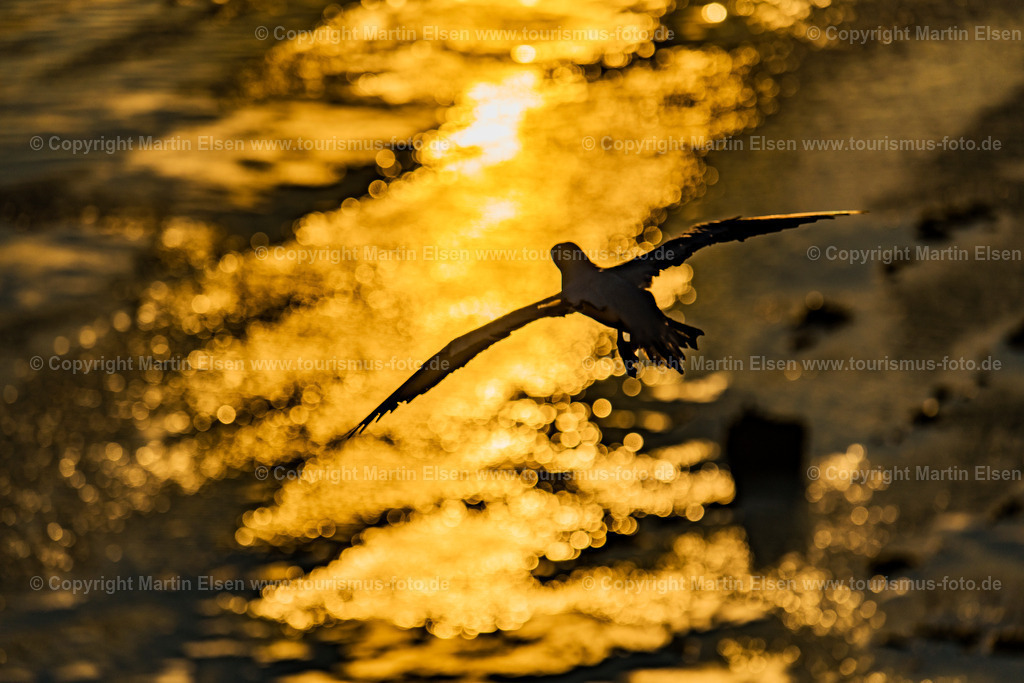 Helgoland Bastölpel_ELS_2462030818 | Helgoland - Aufnahmedatum: 31.07.2018, Aufnahmehöhe:  m, Koordinaten:  - , Bildgröße: 8256 x  5504 Pixel - Copyright 2018 by Martin Elsen, Kontakt: Tel.: +49 157 74581206, E-Mail: info@schoenes-foto.deSchlagwörter:Schleswig-Holstein,Landkreis Pinneberg,Düne,Hochseeinsel,Börteboote,Meer,Küste,Halunder,Oberland,Unterland,Strand,Seehunde,Robben,Lange Anna,Felsen,Roter Felsen,Luftbild,Luftbilder,Bastölpel - Realisiert mit Pictrs.com