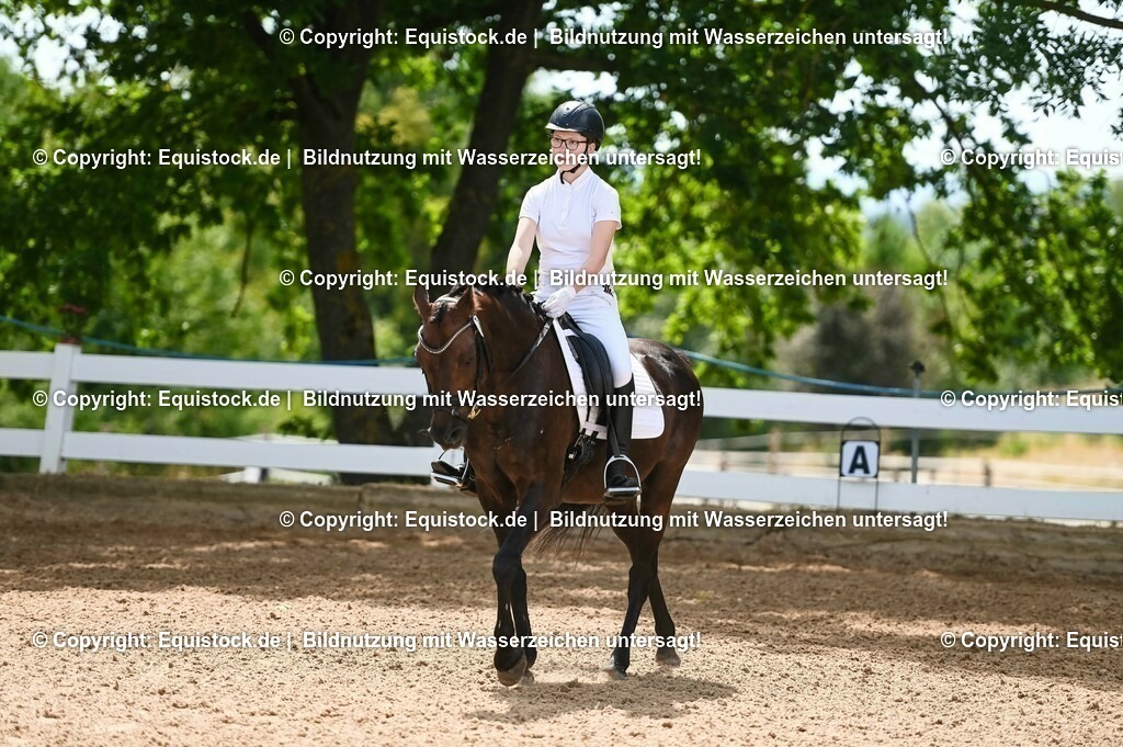 20230715_09_Dressur-WB_0202 | equistock