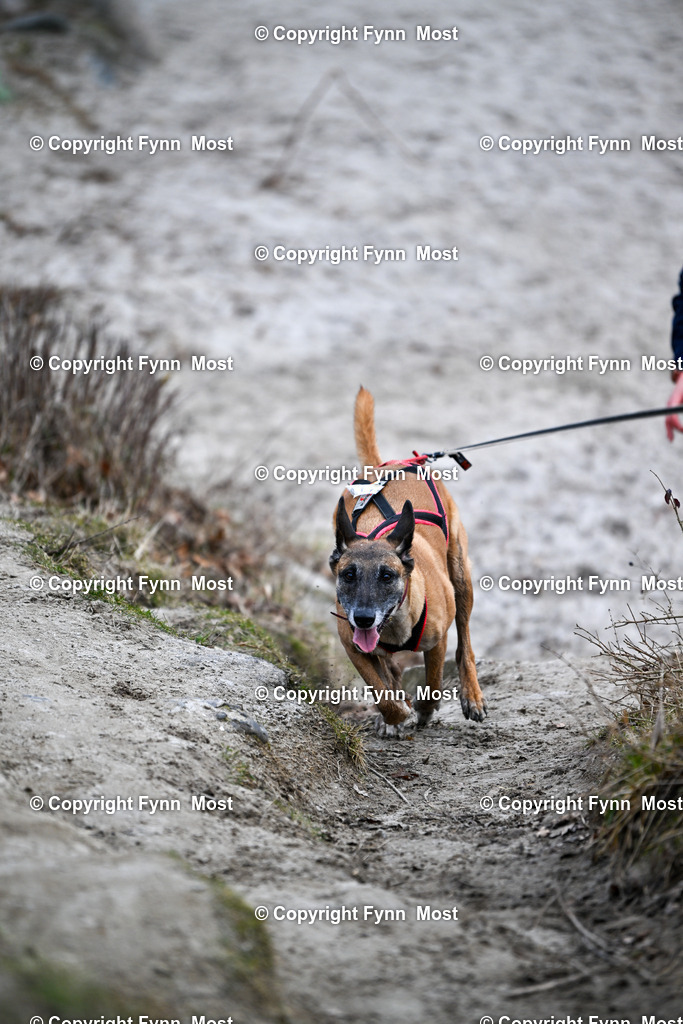 DSC_1299 | Hallo und herzlich Willkommen auf meiner Shop-Seite Fynn Most.

Ich wünsche Dir viel Spaß beim stöbern durch die Bilder, wenn Du Fragen hast oder Bilder vermisst, kannst du mir gerne eine Nachricht schreiben. - Realisiert mit Pictrs.com