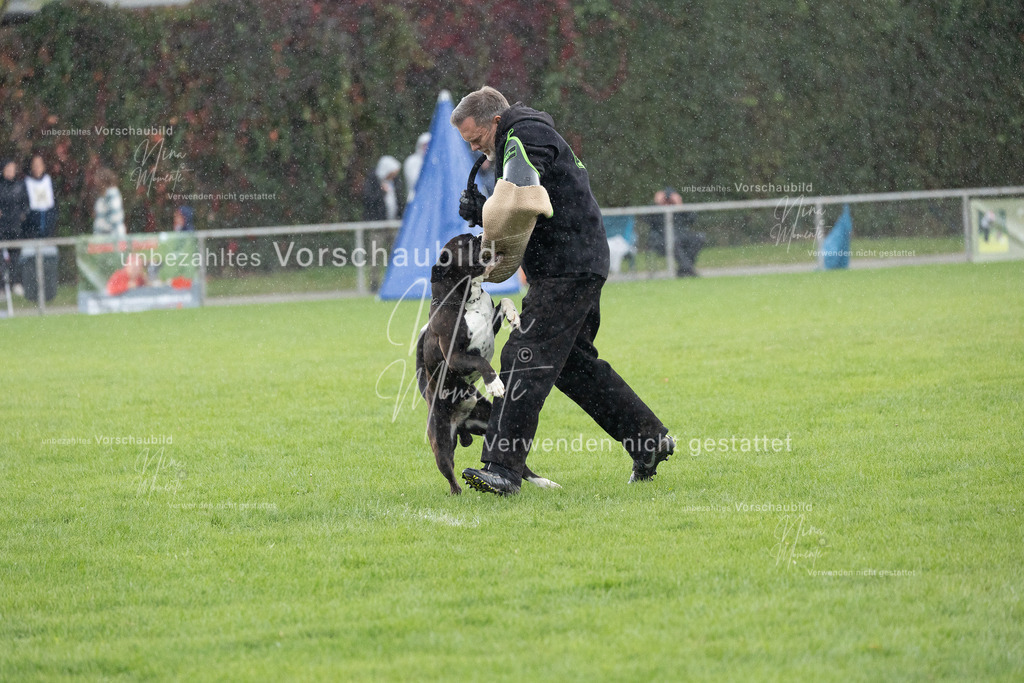 _16A7172 | Einzigartige Fotos von Hunden & Menschen –Actionfotos, Portraits, Vereinsaufnahmen & Paarshootings – authentisch, lebendig & mit Herz.