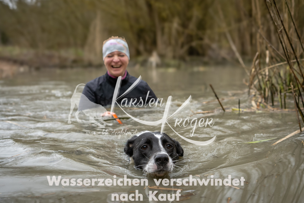 1258_ZZ93603 | kk-dogfotos