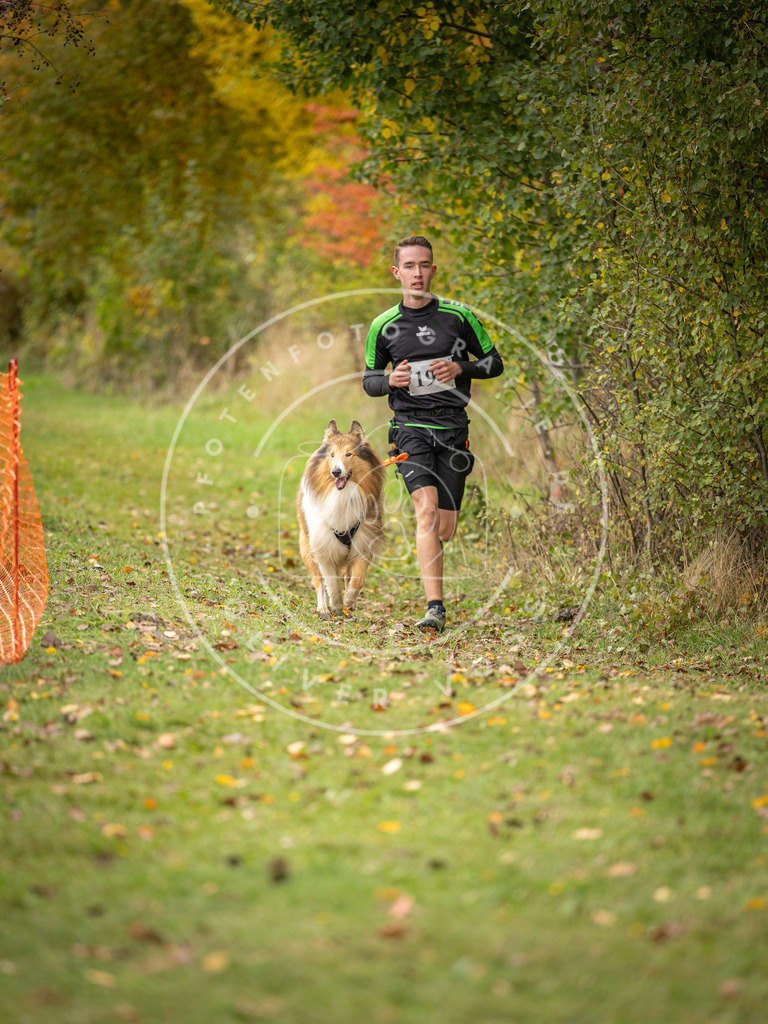 Pfotenfotografie_DV3A3821 | Hundefotografie, Tierfotograf, Pfotenfotografie, Fotoshooting Hund, Hunde Portrait, Hundesport, Hundeportraits, Heideshooting, Hunde, Sportfotograf, Hundefotograf, Turnierhundsport, THS,  - Realisiert mit Pictrs.com
